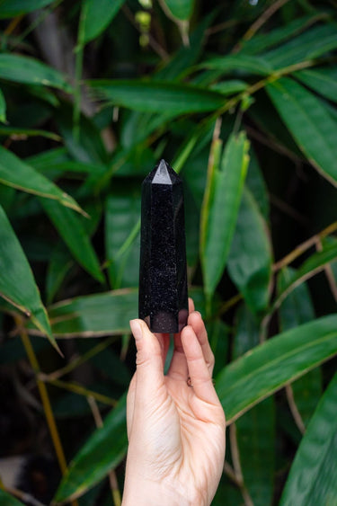 Black Tourmaline Polished Generator